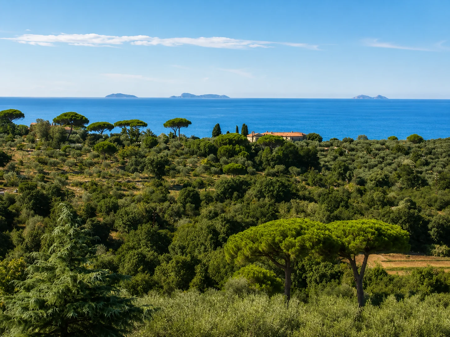 Vista sulle Isole Pontine